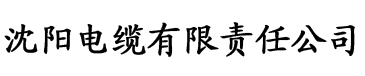 新91香蕉视频电缆厂logo